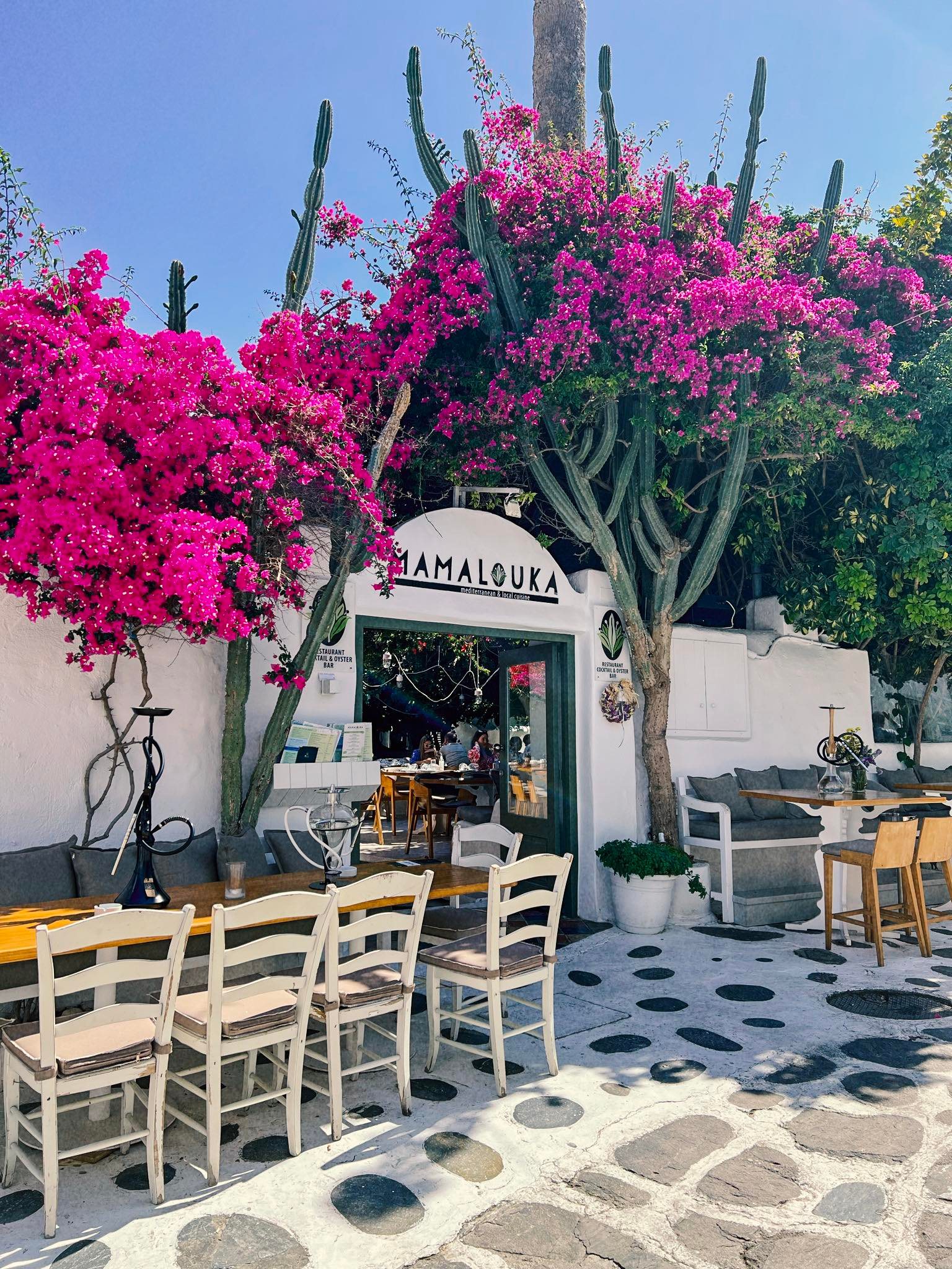 288265902_344451757833544_1240559444050279930_n